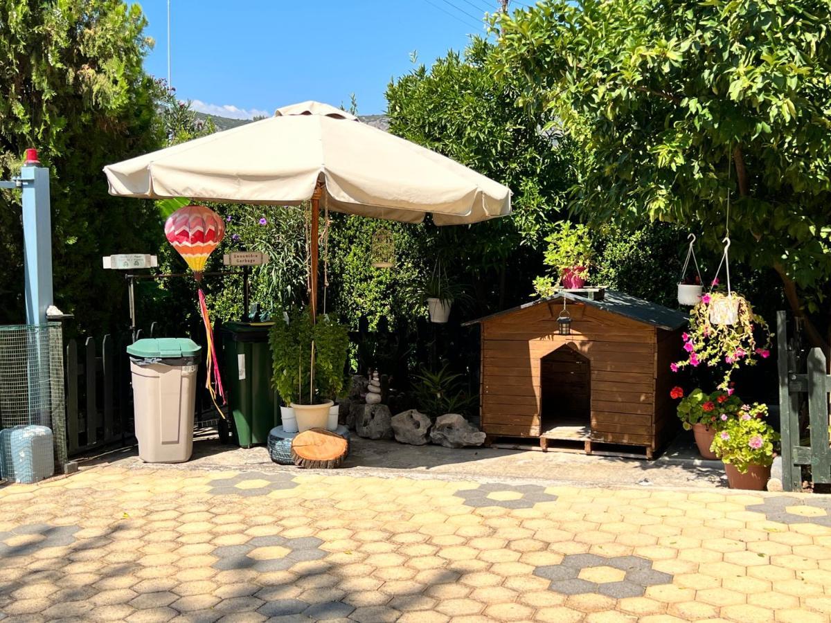 Iris-Gogo House Lägenhet Nafplion Exteriör bild